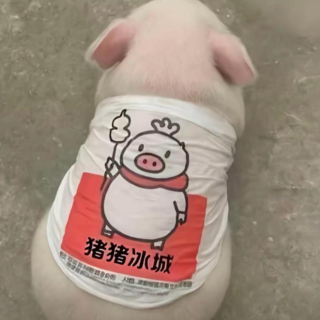 是你难忘的前女友