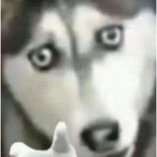 铁头阿彪
