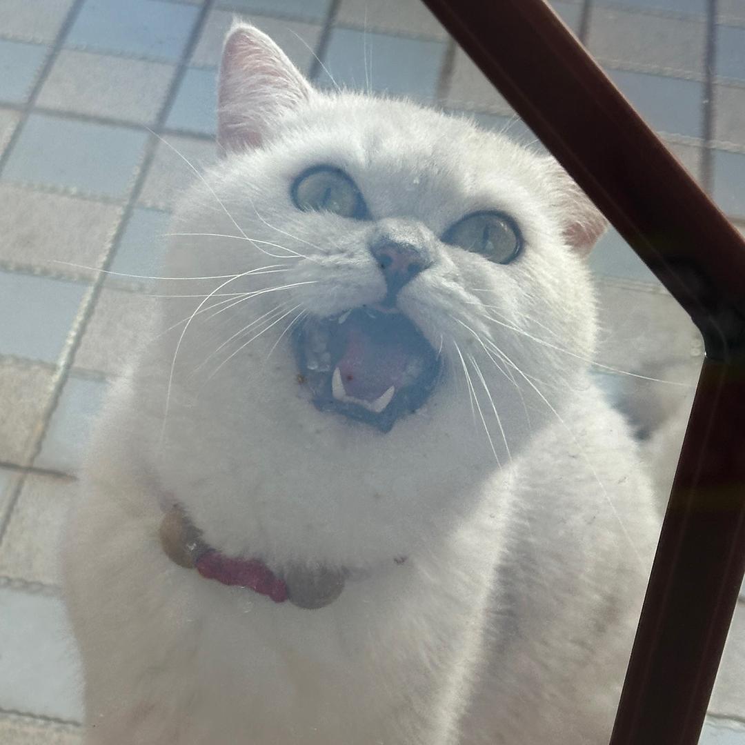 不易宝妈