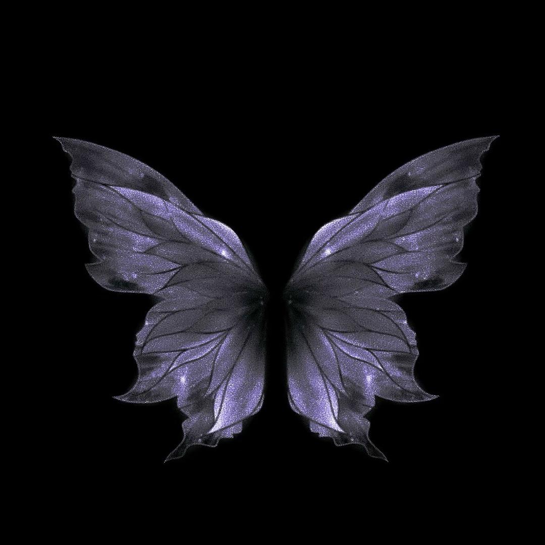 焦小妹🦋