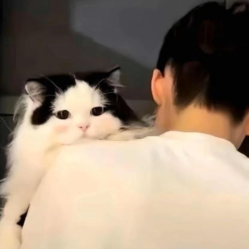 小琳的饱