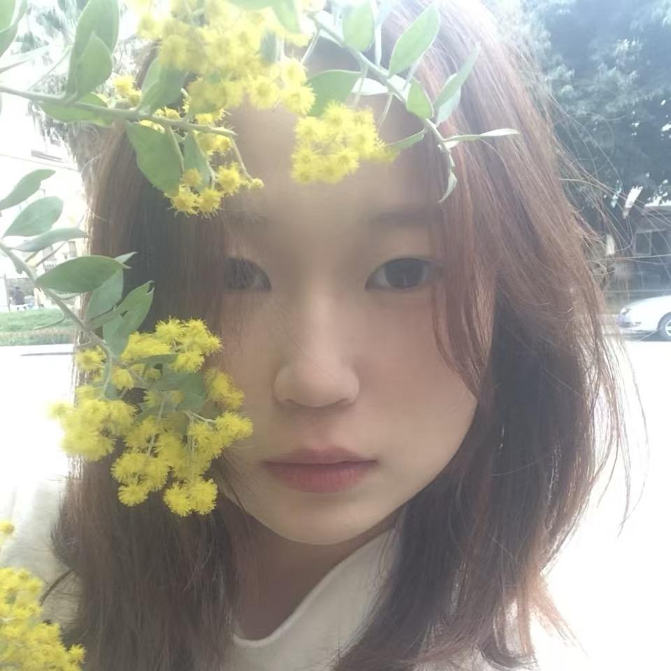 聪明蛋流星雨
