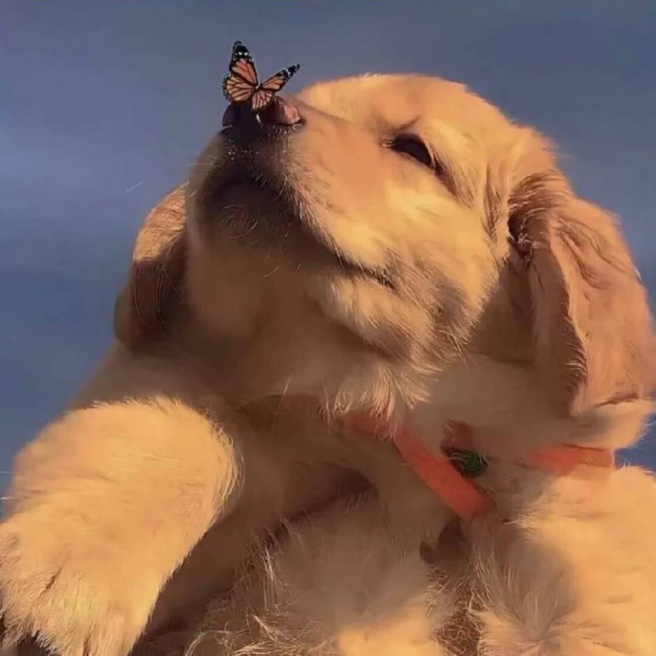 yuanyuanyuanyyyy