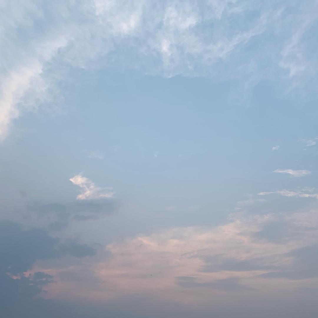 @AAA孟姐芯片批发头像