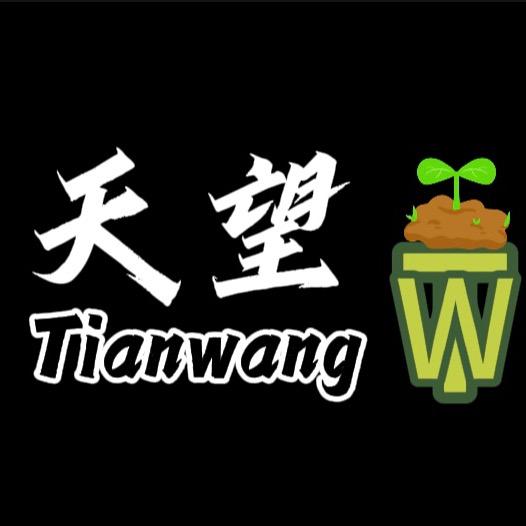 天望