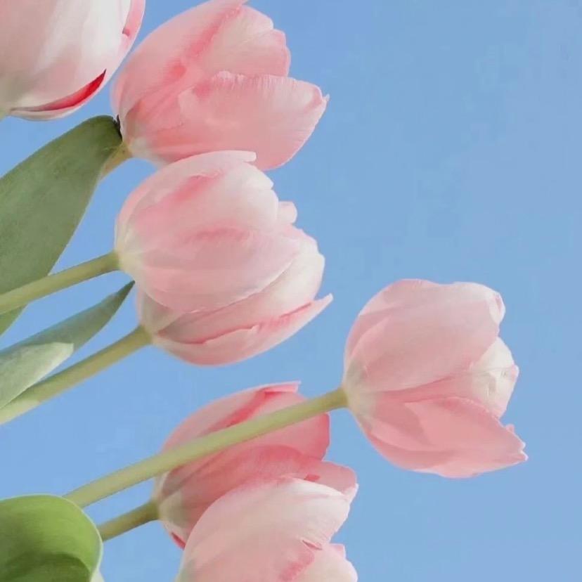 马铃薯炒土豆🥔