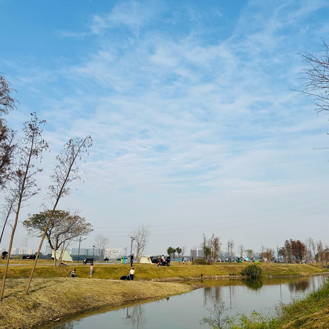 新车批发搬运工♻️
