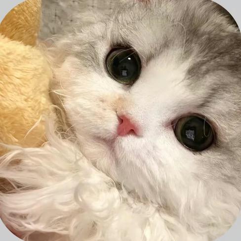 没听过黄誉博你就out了