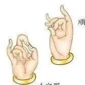 抄经人