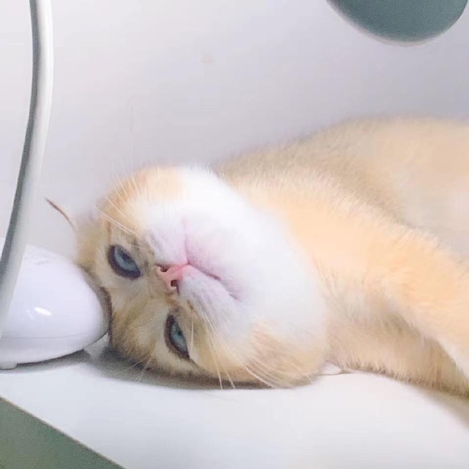 林清野