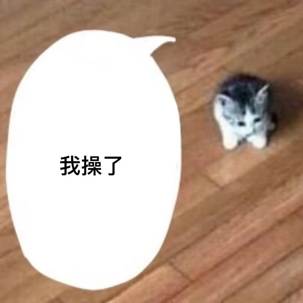 秋秋喵