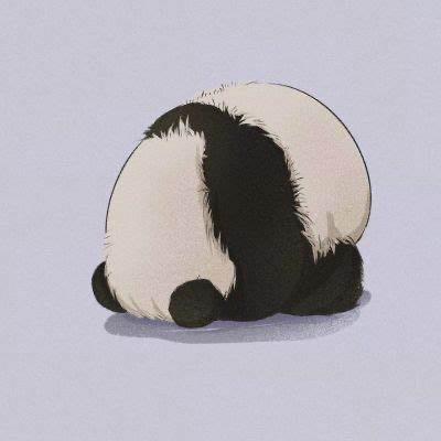 橘猫