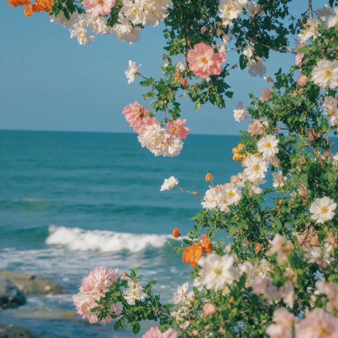 美衣橱时尚女装