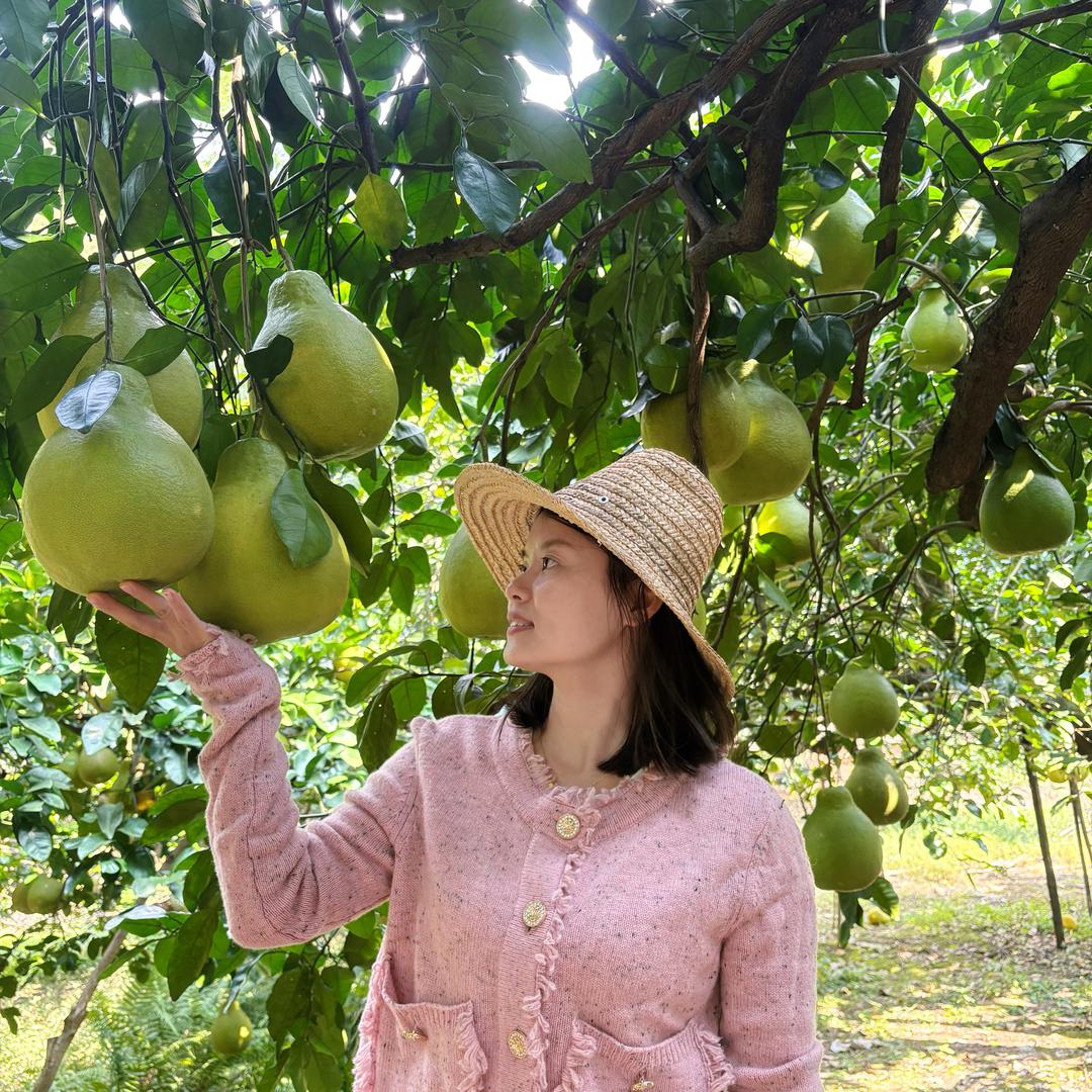 广西容县白心蜜柚产地直发