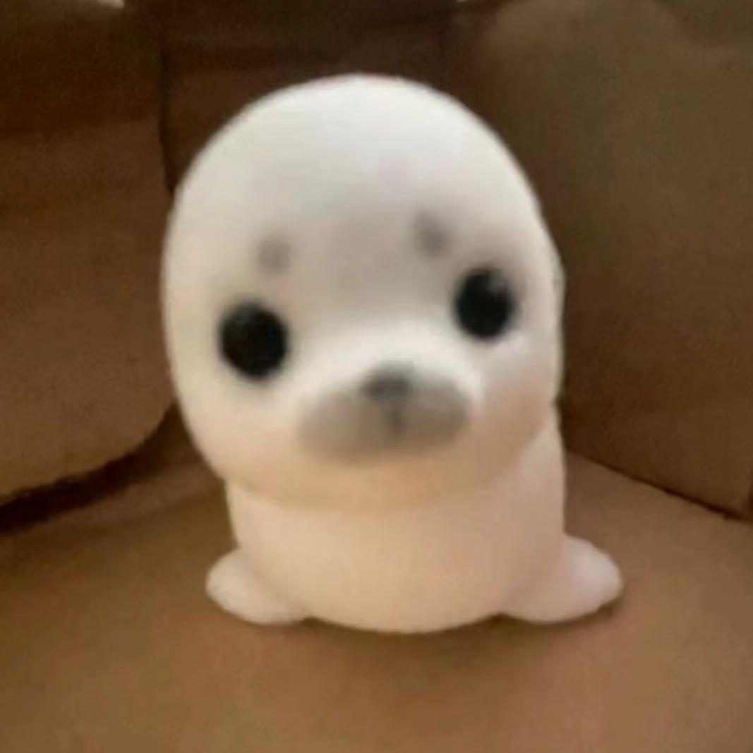 暴走海豹