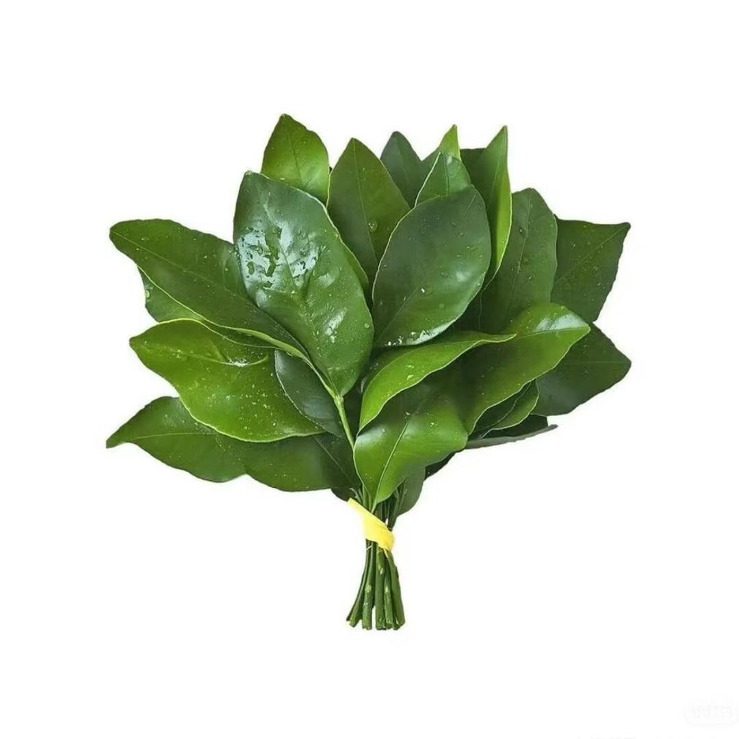 鱼鱼
