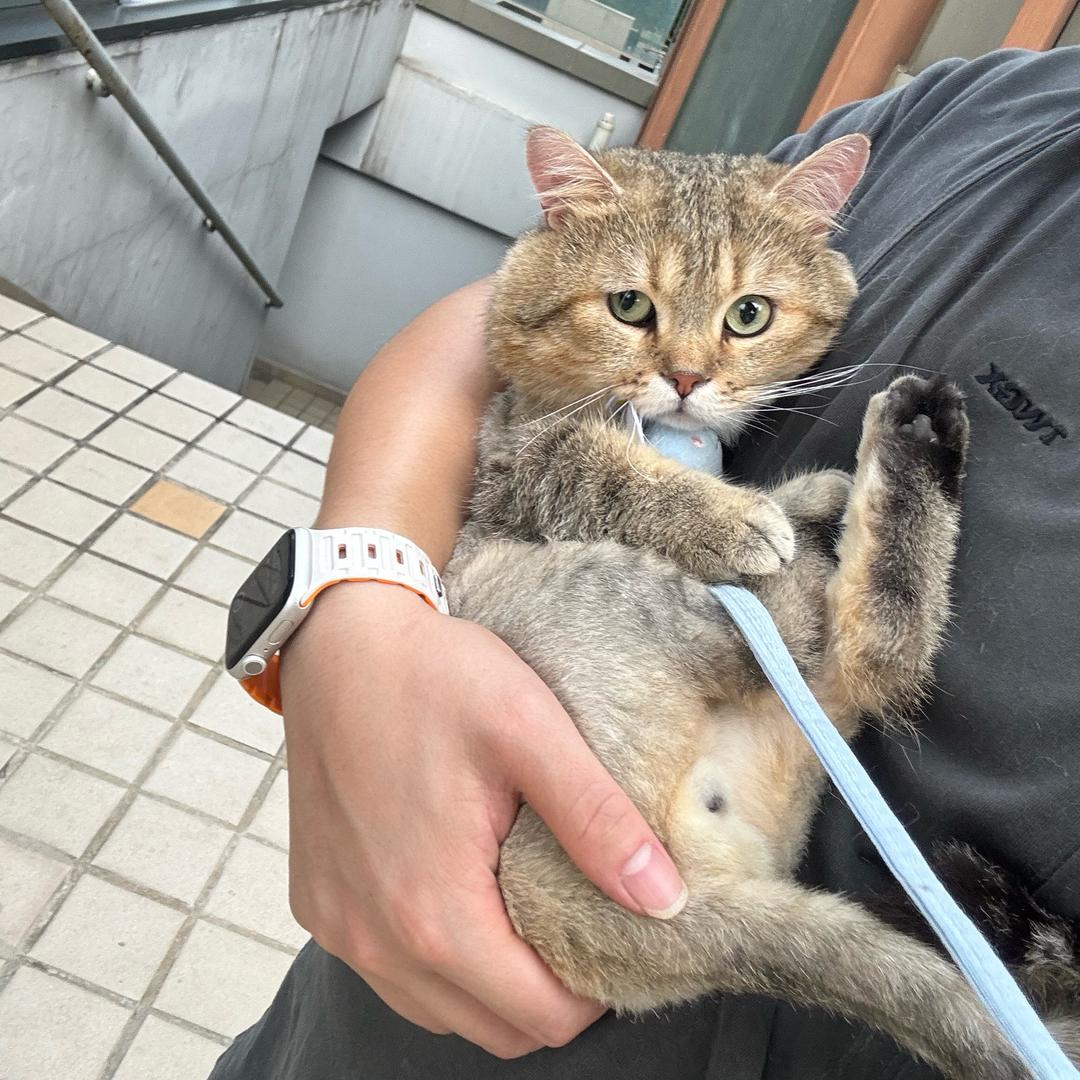 讨厌鸽子🕊️