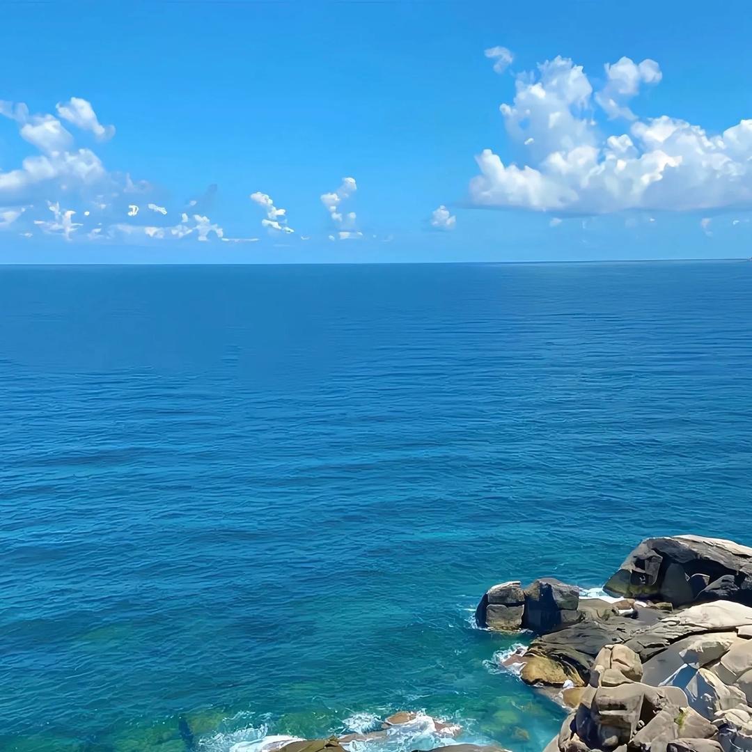 逃离记忆海岛🐳🐳🐳