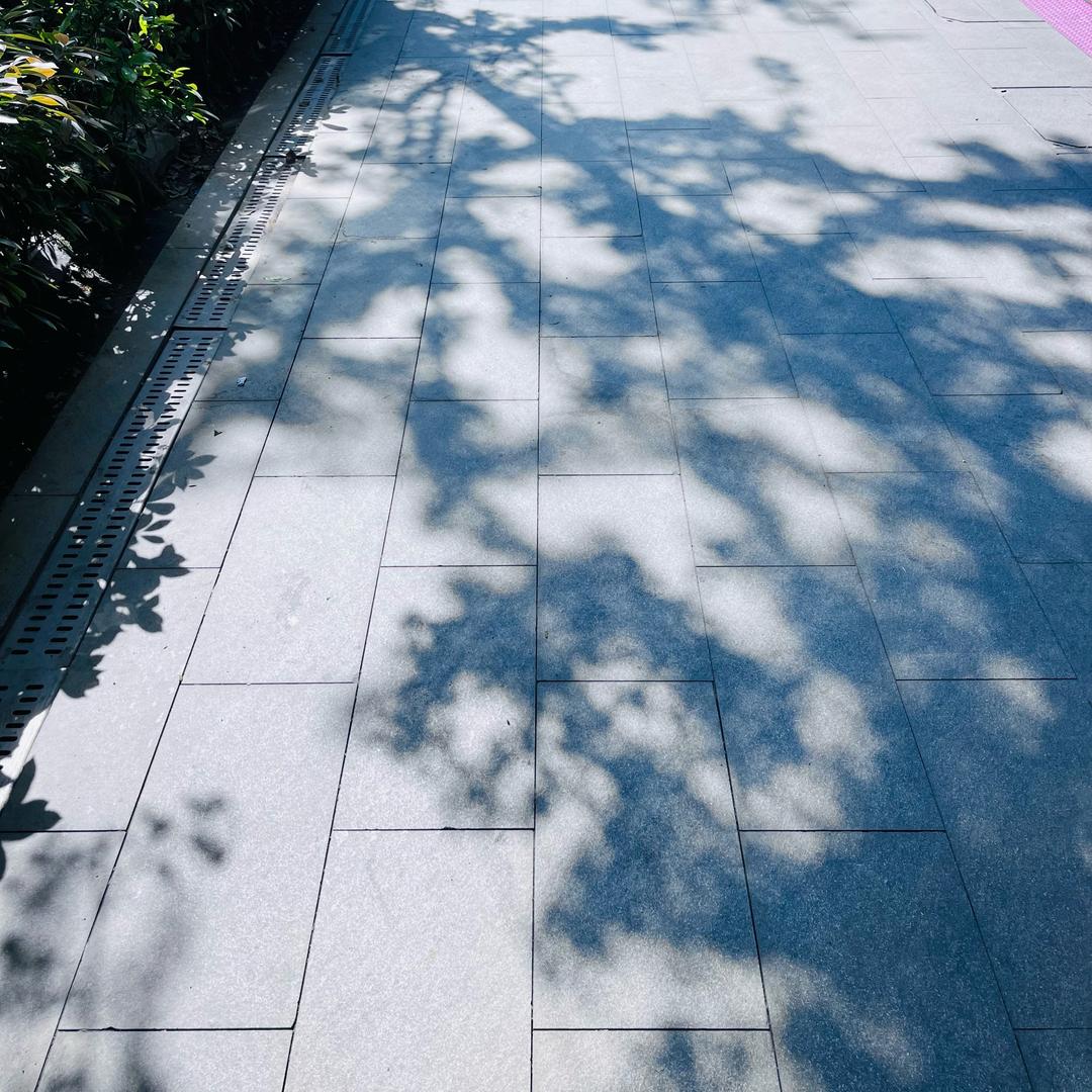 周周z 🧶⁶³⁰