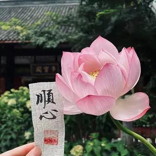 宸笙易慧