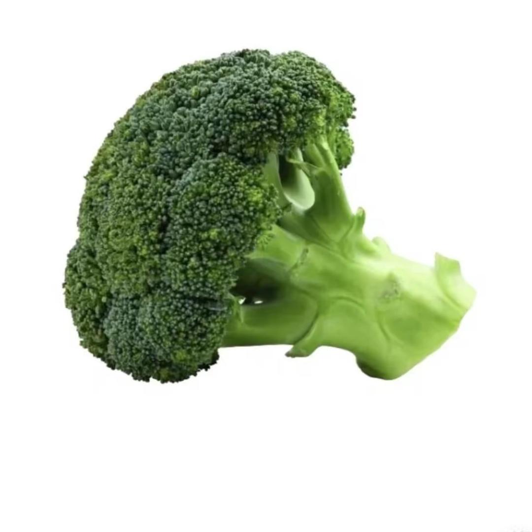 爱拖拖拖拖拉
