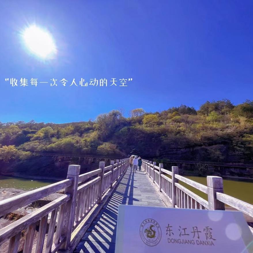 芳芳情感小说