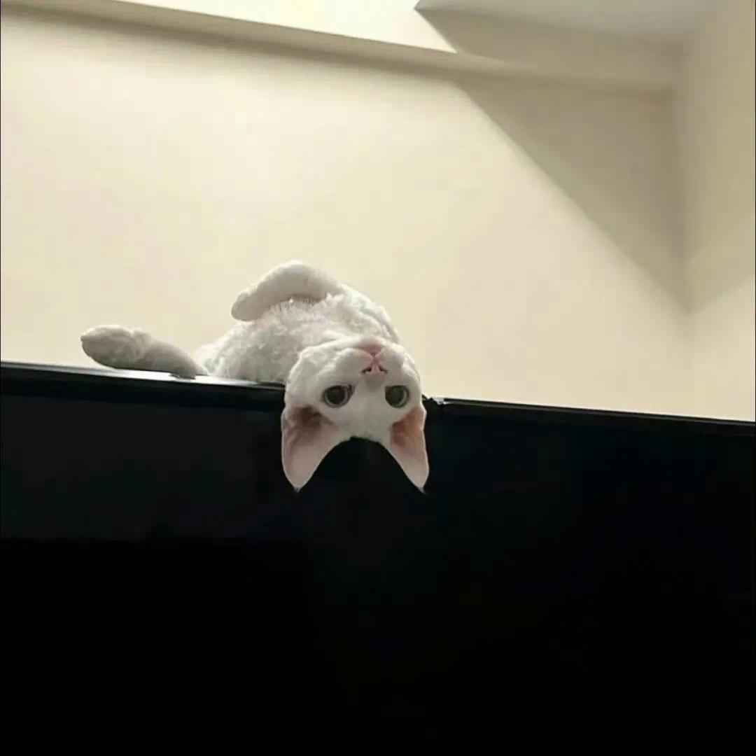 🌈你很吃藕🍂