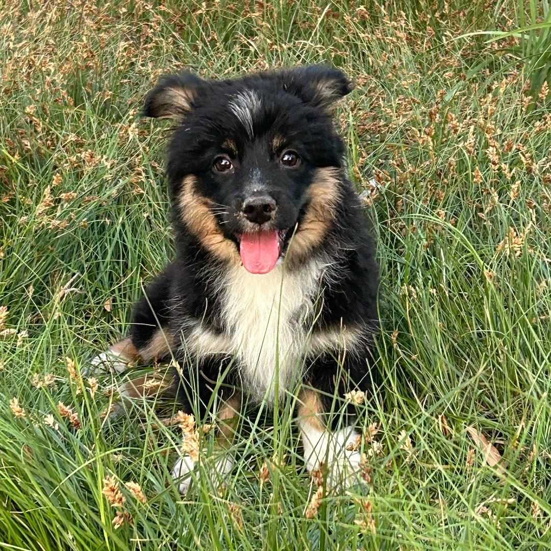 纵是千千晚星✨