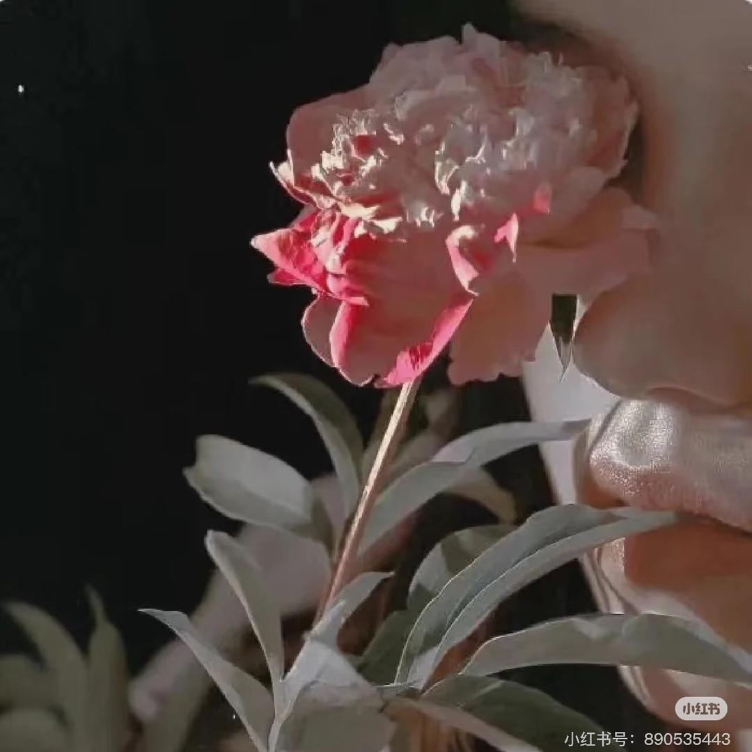 笨吱吱💕