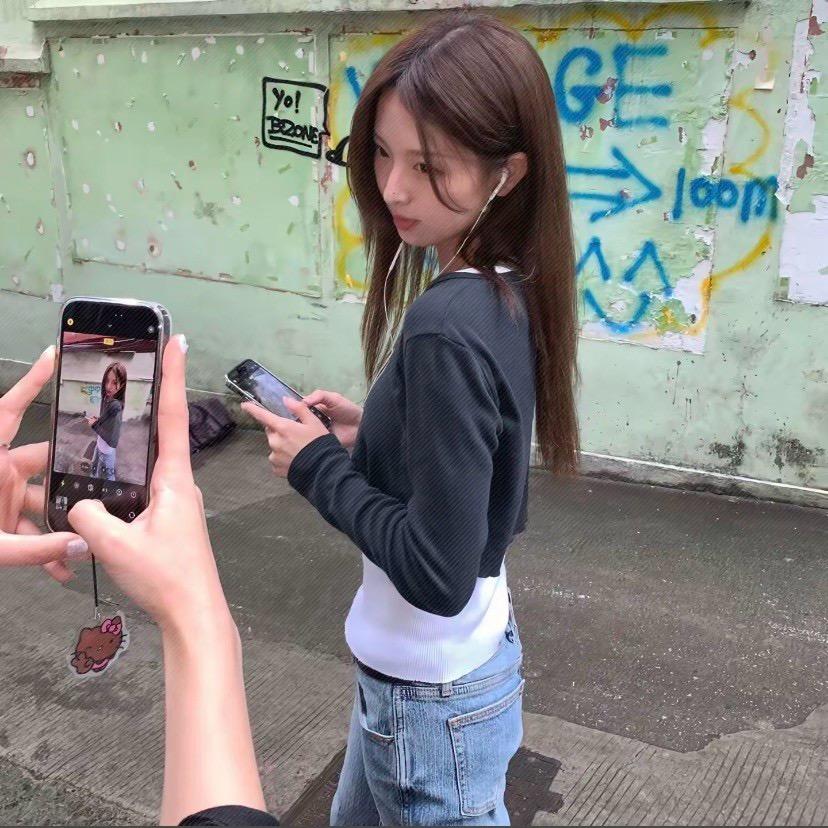卷心菜菜