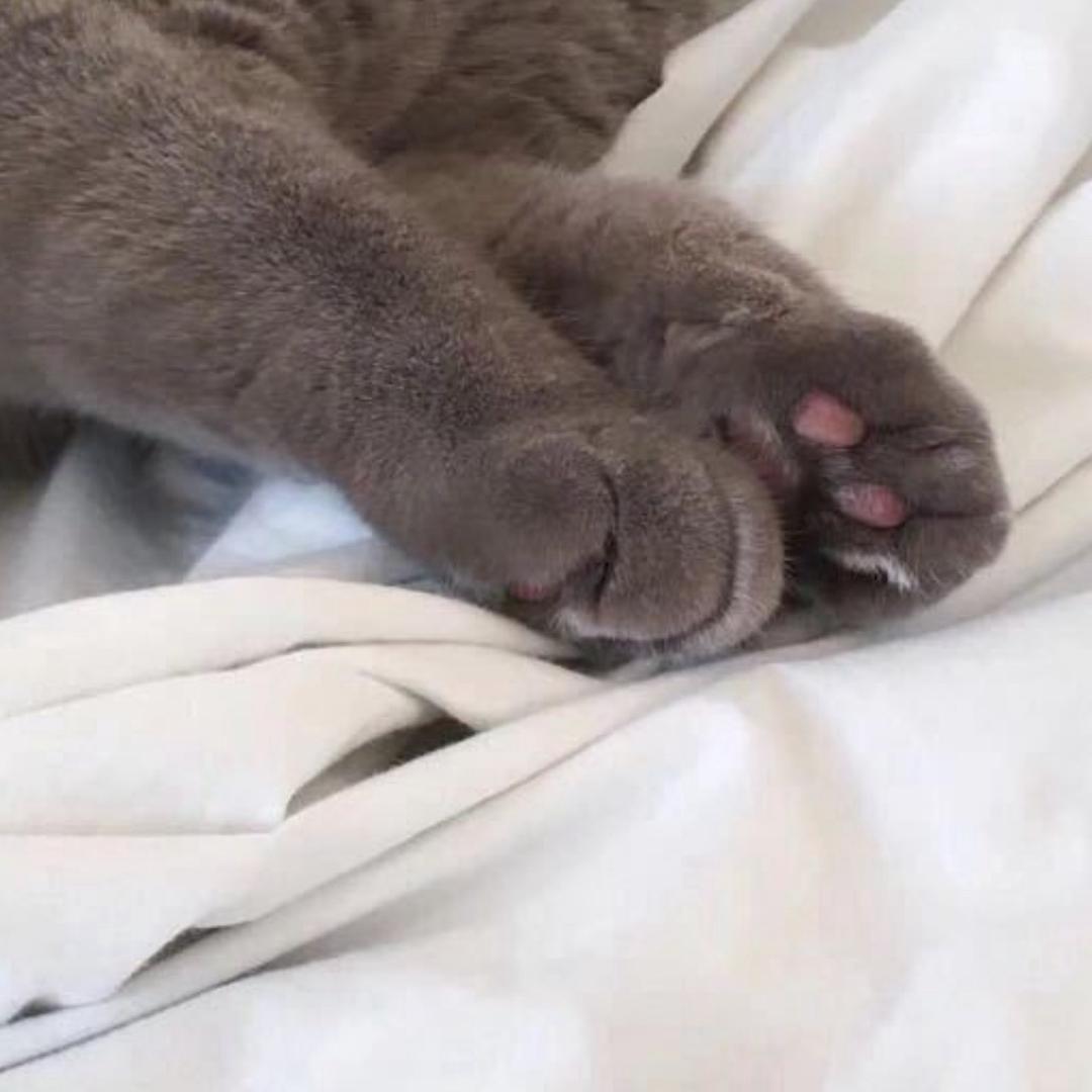 吸吸吸吸吸