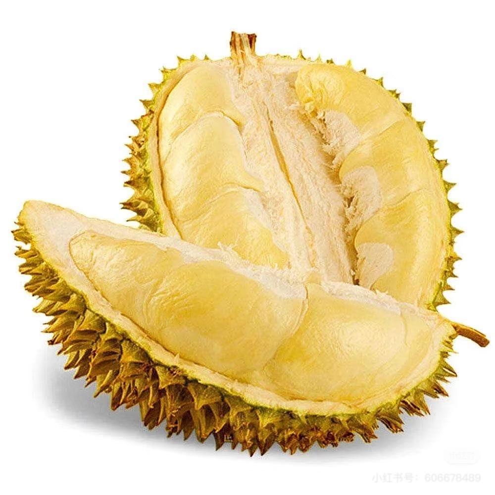 榴乐鲜姐姐