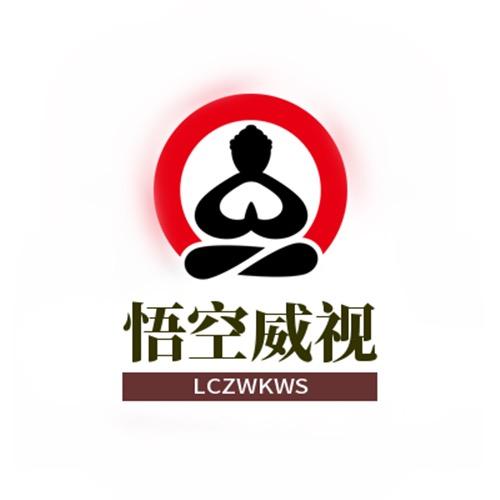 悟空威视LCZWKWS材治安防专卖店