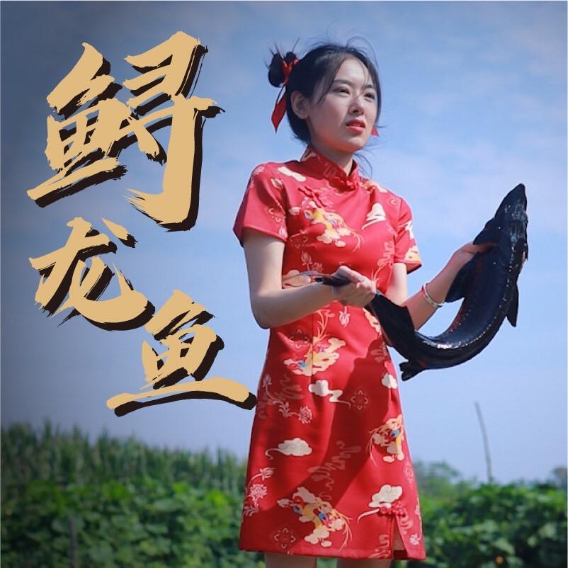 鲟龙鱼姐妹