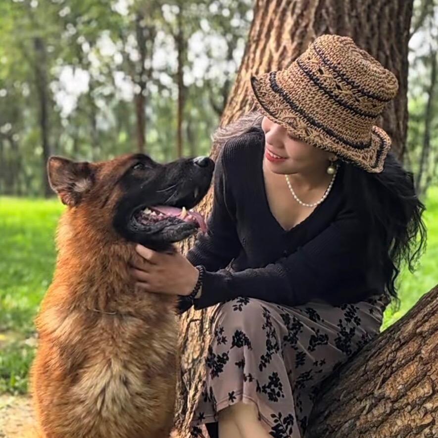CSV春天德牧犬舍（山西老董犬舍）
