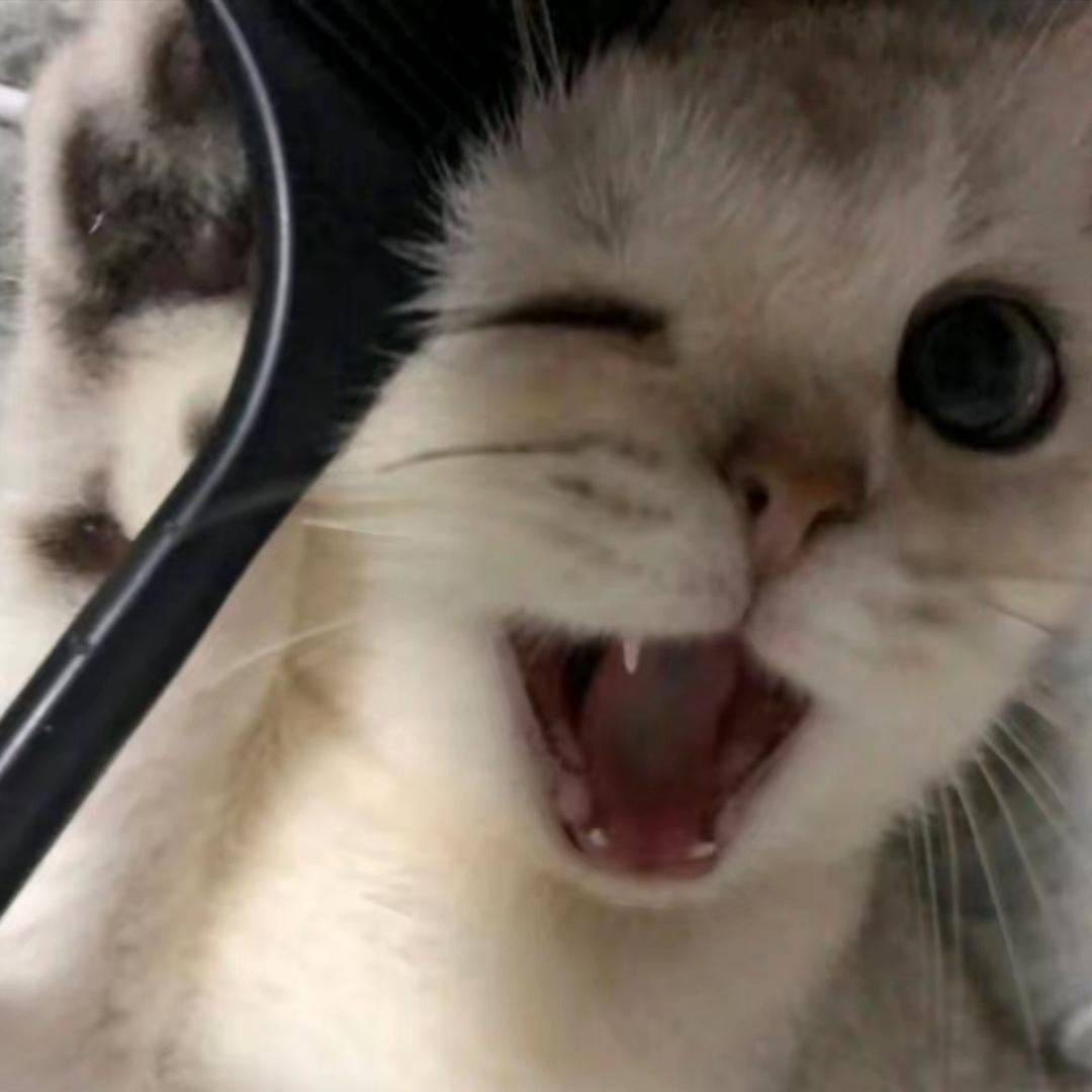 烤鱼烤鱼 ̑̑