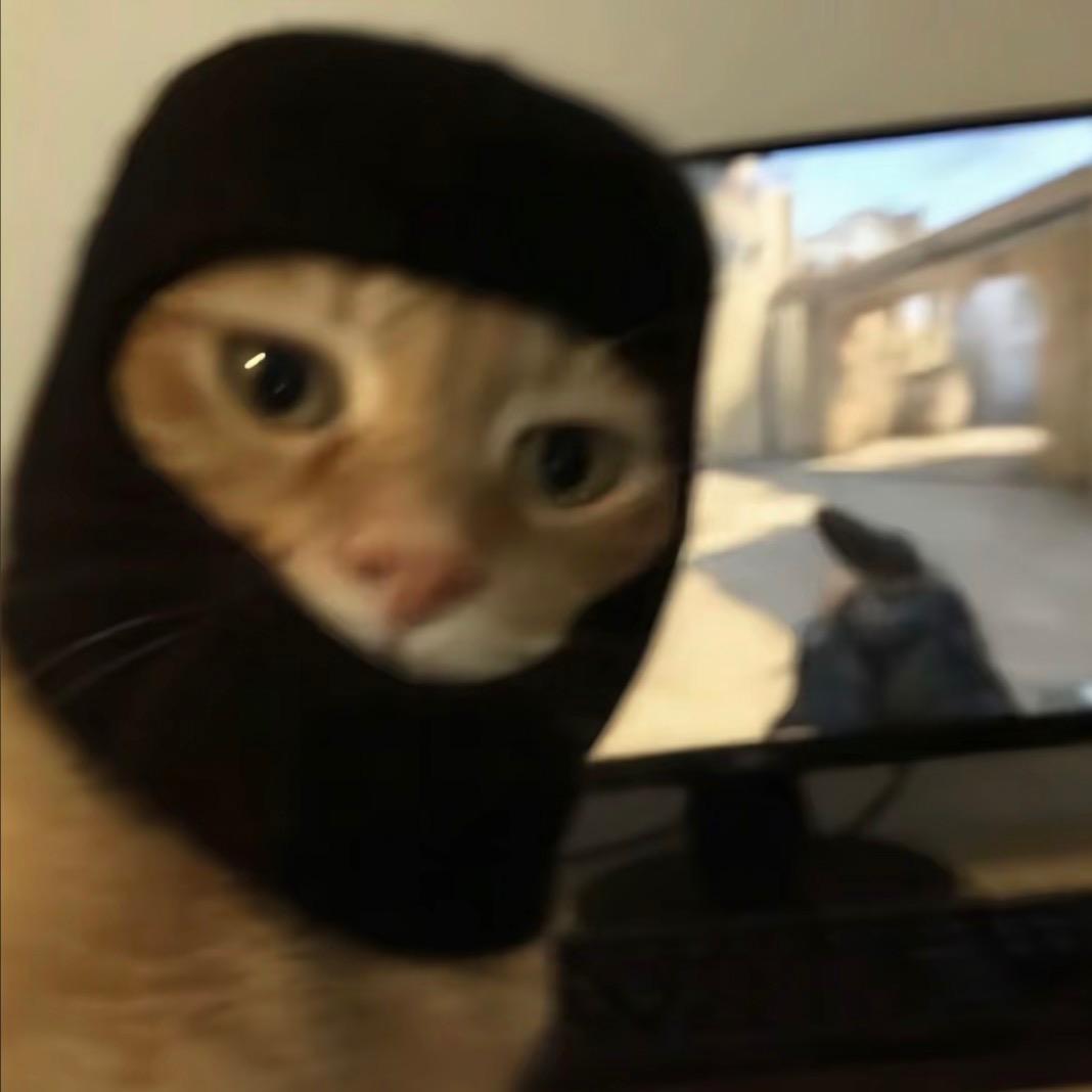 Cs2西爵