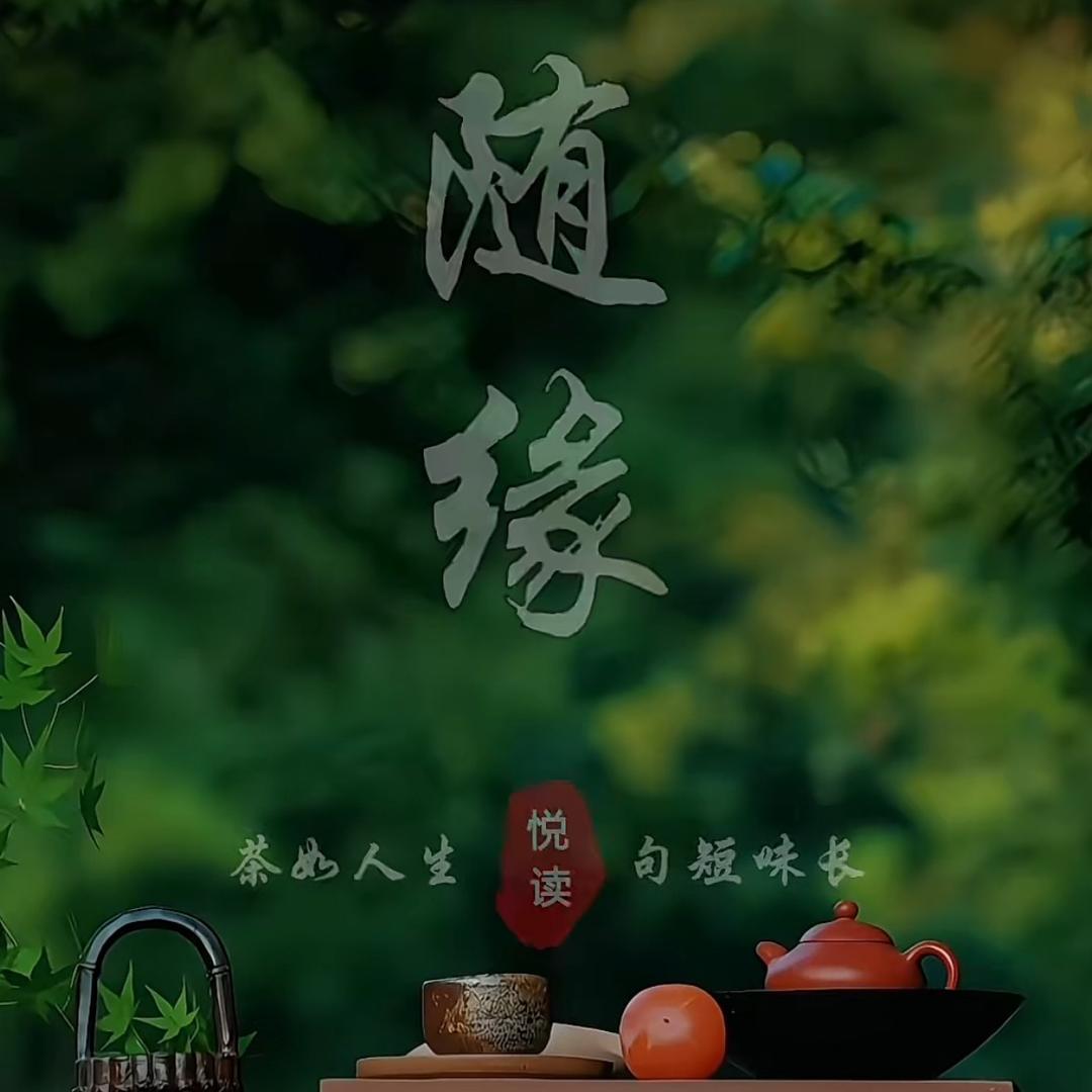 随卍缘📿