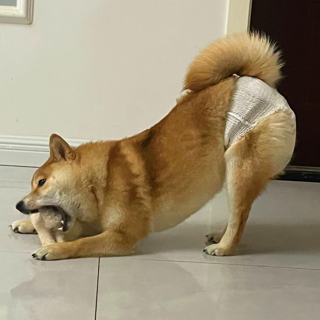 土豆mom （妮娃娃）