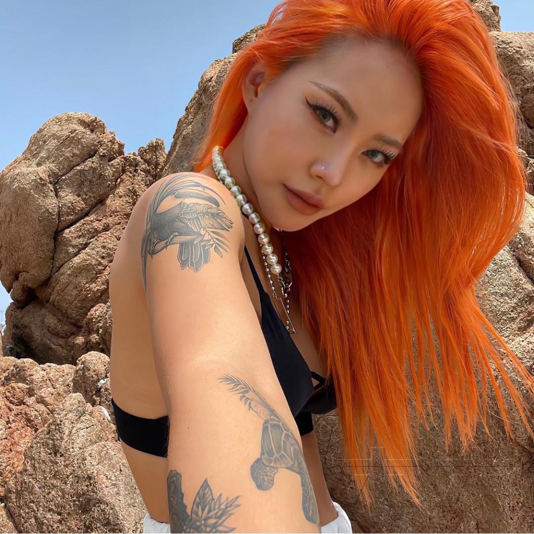 派大星🦞
