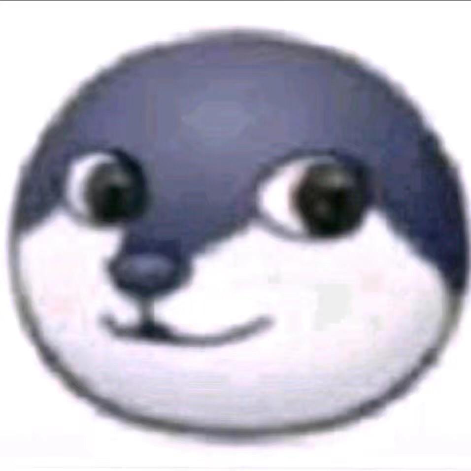 狗头君