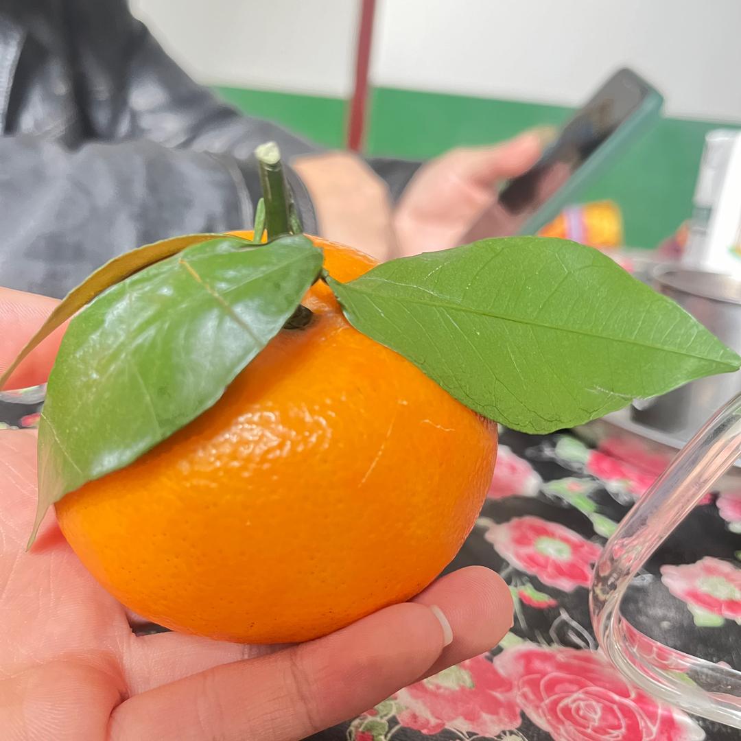 每天开心