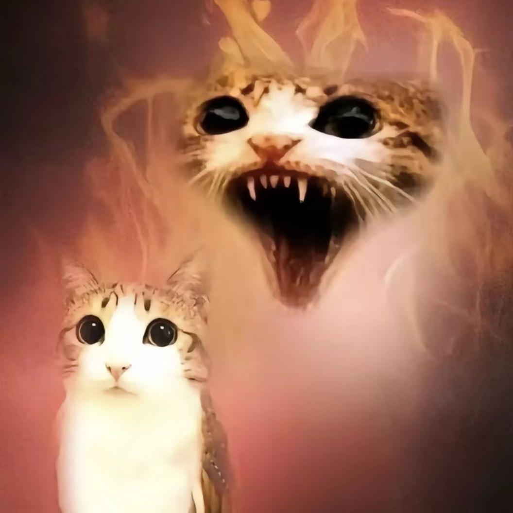 得意的暹罗猫233