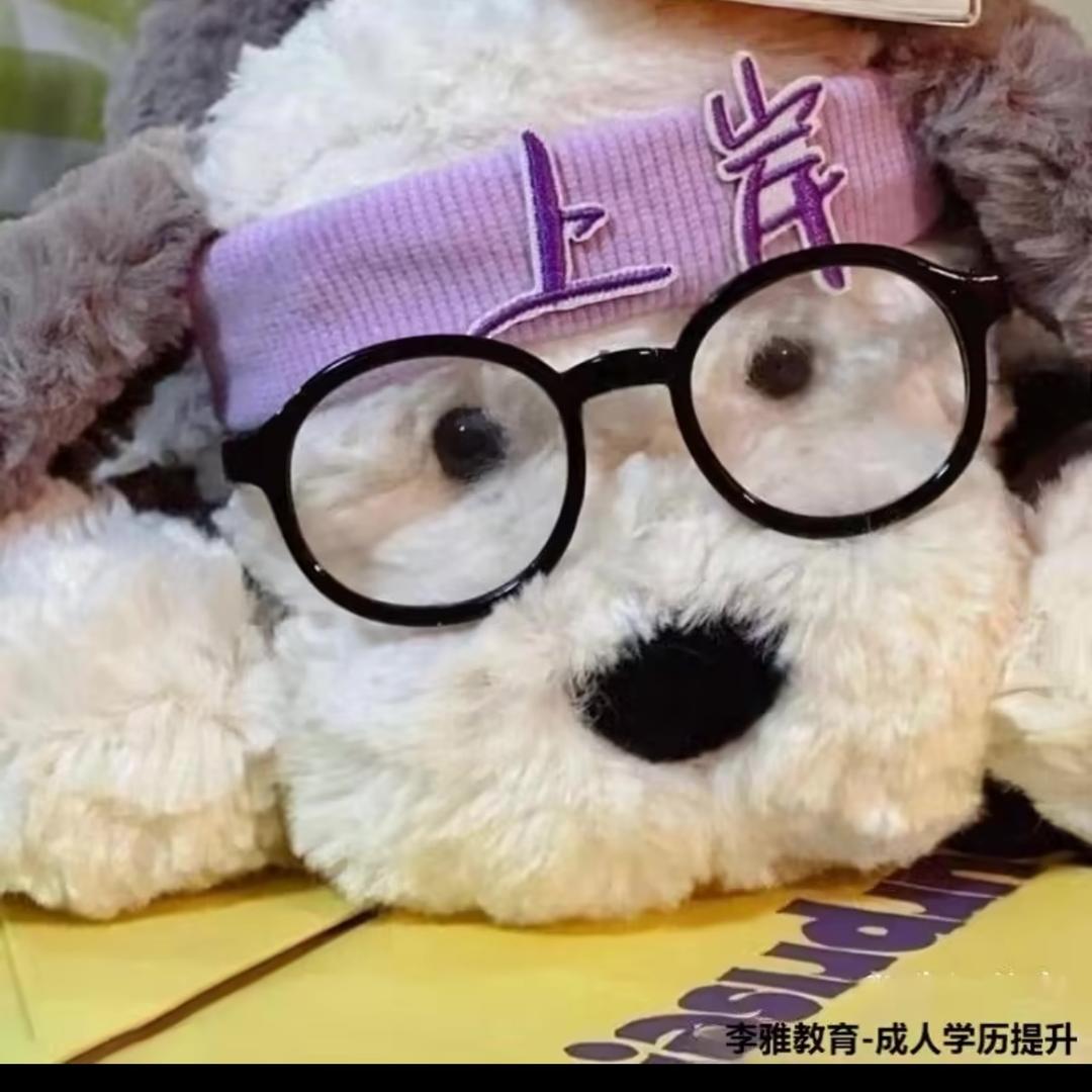派多辛