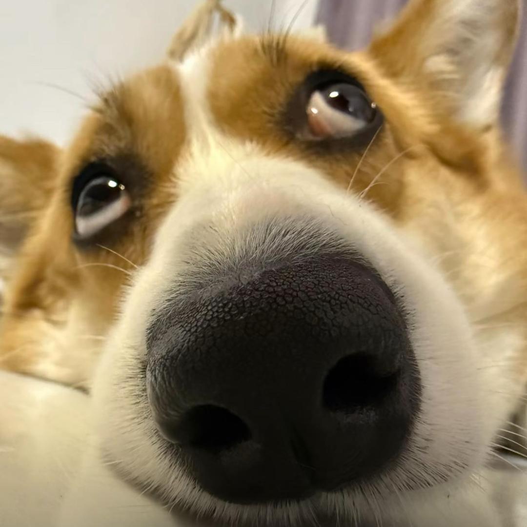 粥啊