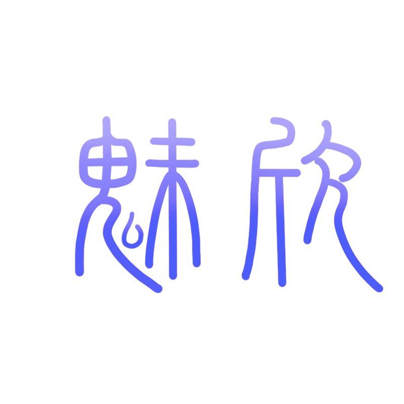 魅欣电子科技