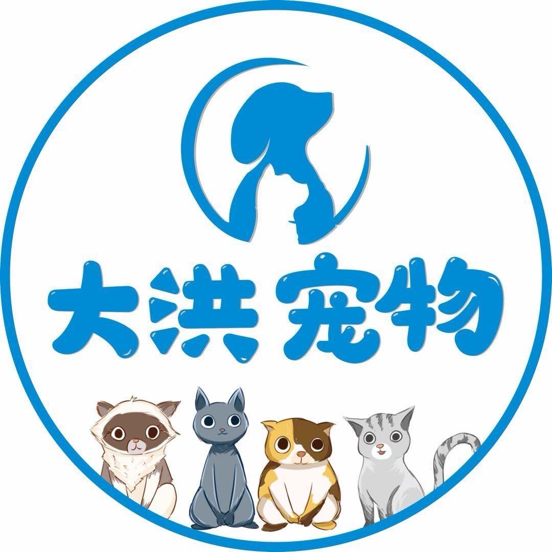 大洪宠物