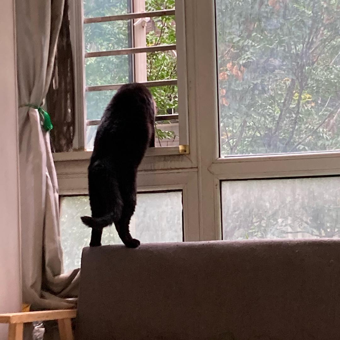 小默默（解压助眠）