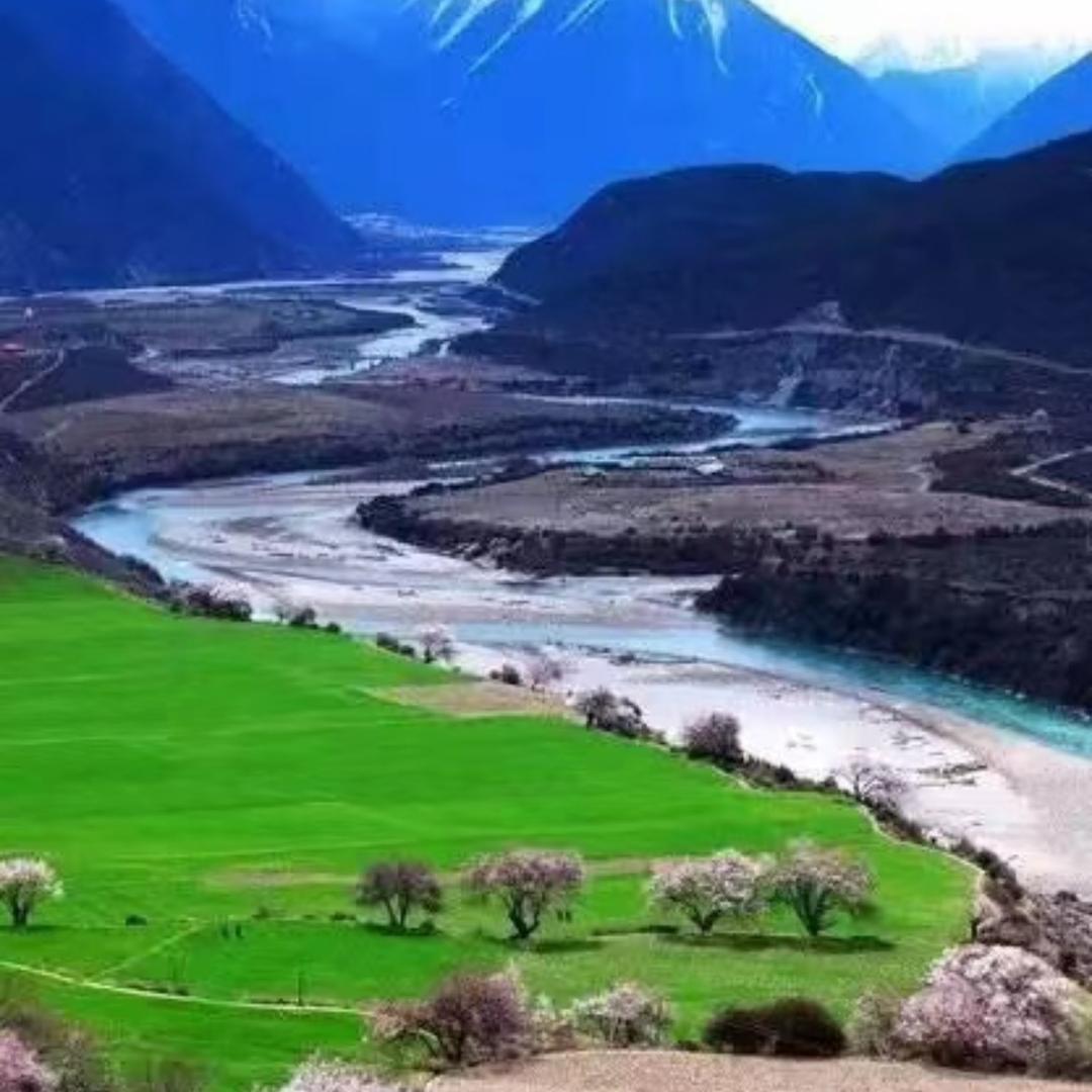 用户8647173591225慵懒