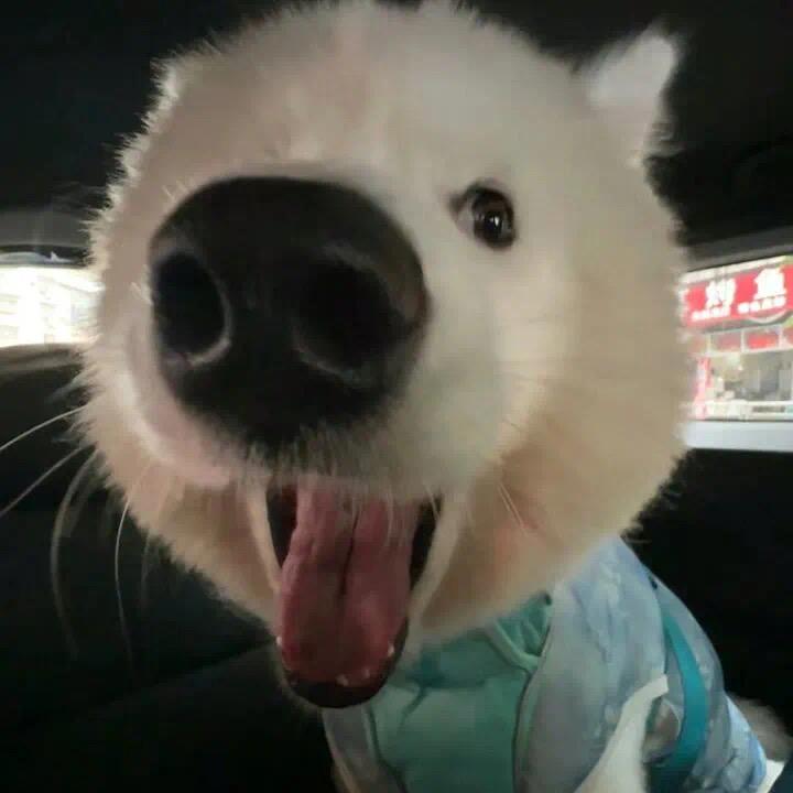 海边听Jay🐟